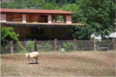 Azienda agricola Valsecchi