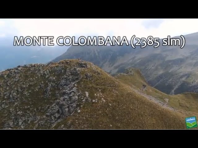 Monte Colombana